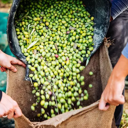 Le Due Palme - Sicilia Vacanza Appartamento